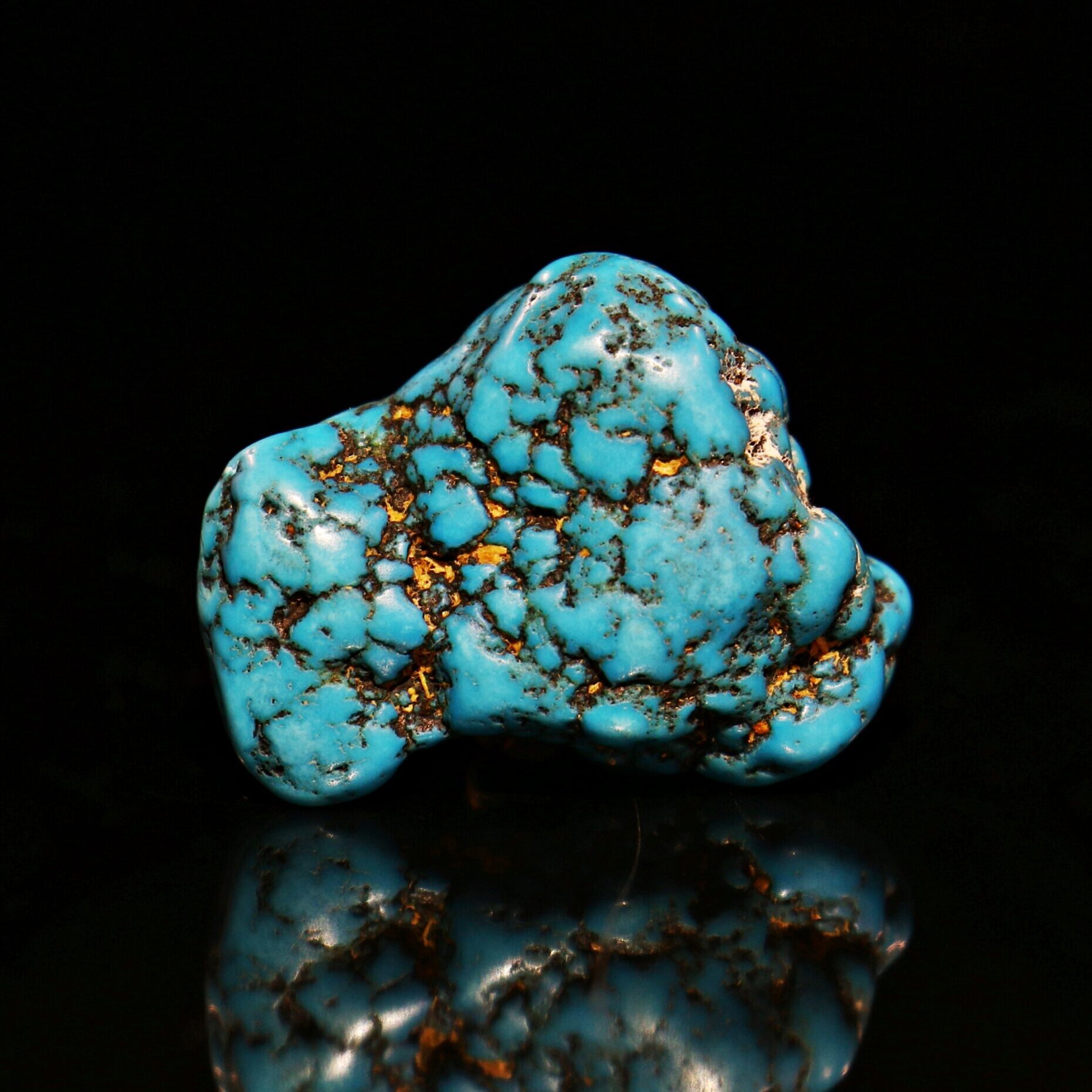 Turquoisa